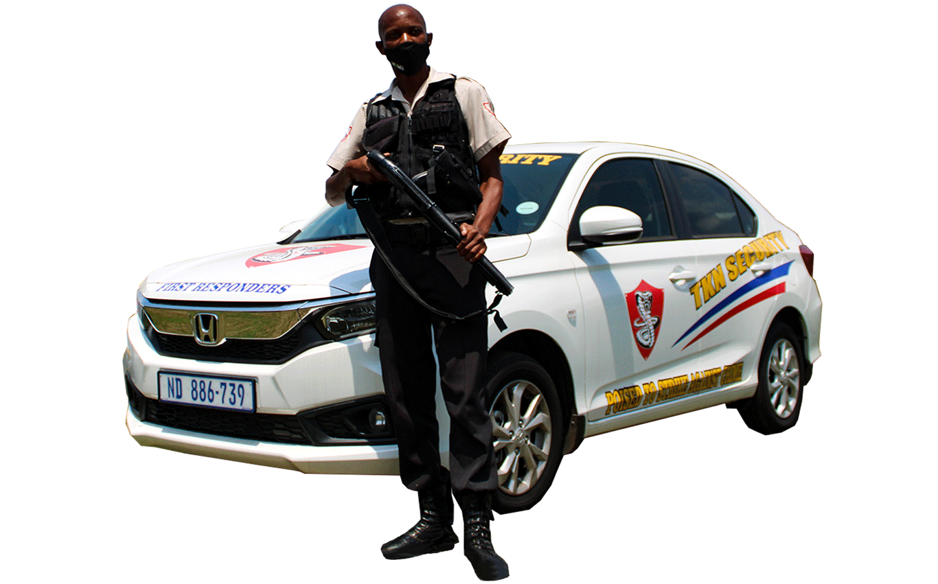 This image for Image Layouts addon